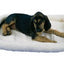 SnooZZy Sheepskin Bolster Kennel Dog Mat White 1ea/XS