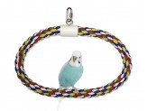 JW Pet Swing N Perch Ring Multi-Color 1ea/LG