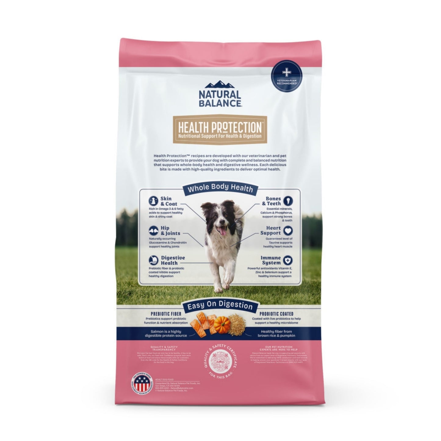 Natural Balance Pet Foods Health Protection Dry Dog Food Salmon, Brown Rice  Pumpkin, 1ea/22 lb