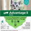 Advantage II Kitten Turquoise x2-Pack