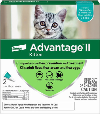Advantage II Kitten Turquoise x2-Pack (Case of 2)
