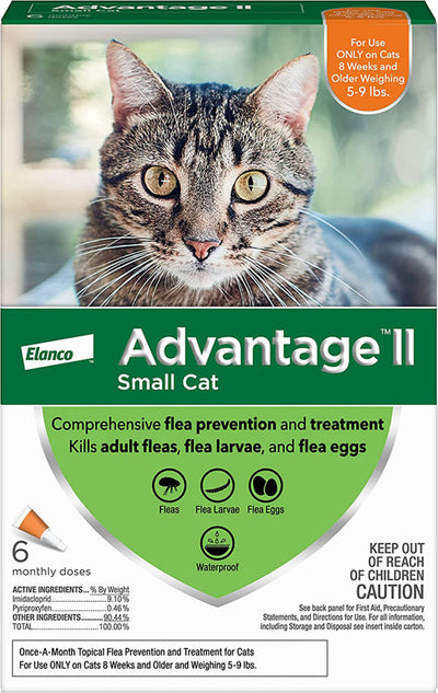 Advantage II Cat Small Orange 6-Pack (Case of 6)