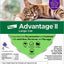 Advantage II Cat Large Purple 4-Pack (Case of 4)