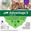 Advantage II Cat Large Purple 4-Pack