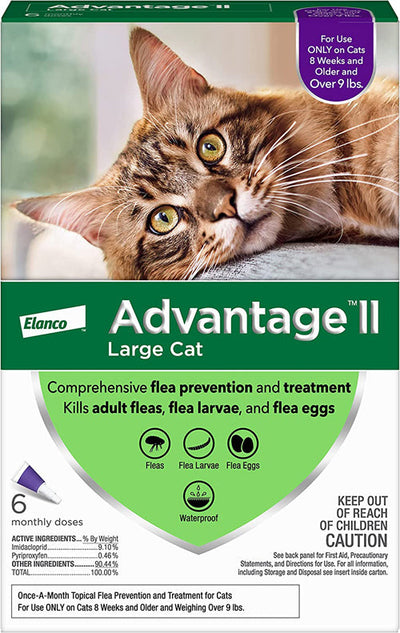 Advantage II Cat Large Purple 6-Pack (Case of 6)