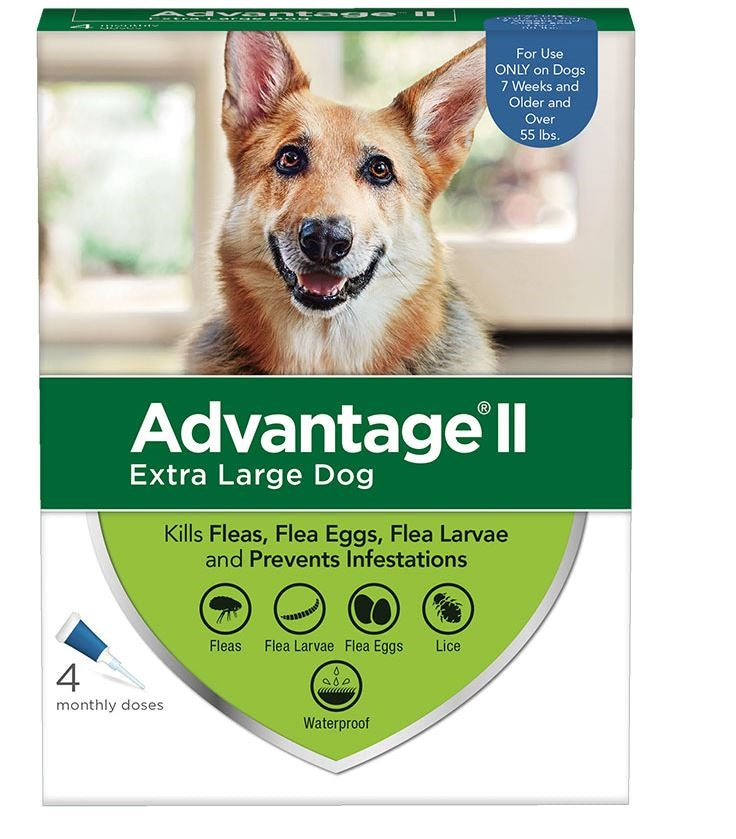 Advantage Ii Dog Extra Large Blue 4-Pack