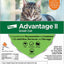 Advantage II Cat Small Orange 2-Pack (Case of 2)