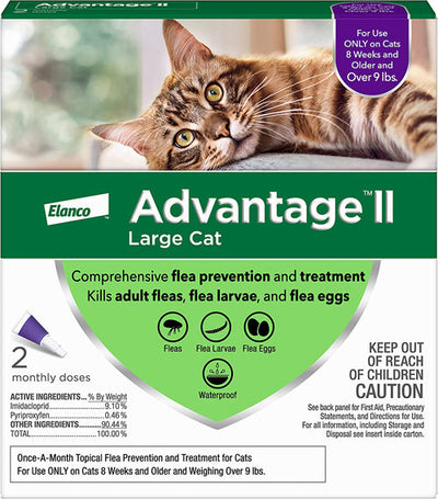 Advantage II Cat Large Purple 2-Pack (Case of 2)