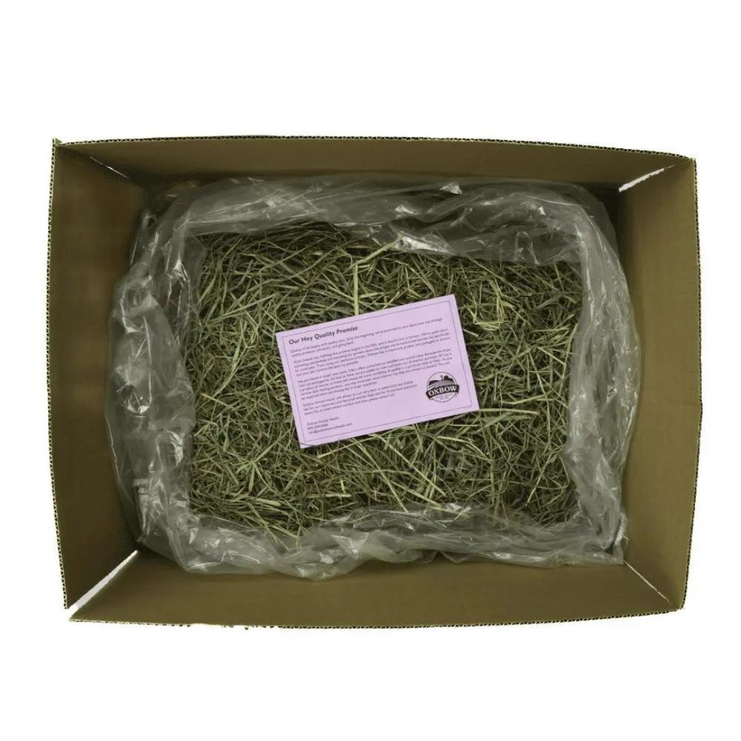 Oxbow Animal Health Western Timothy Hay 1ea/9 lb