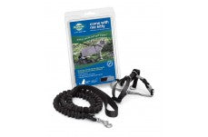 PetSafe Premier Come With Me Kitty Harness & Bungee Leash Combo Black/Silver 1ea/SM