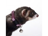 Marshall Pet Products Ferret Bell Collar Purple 1ea/3/8 in