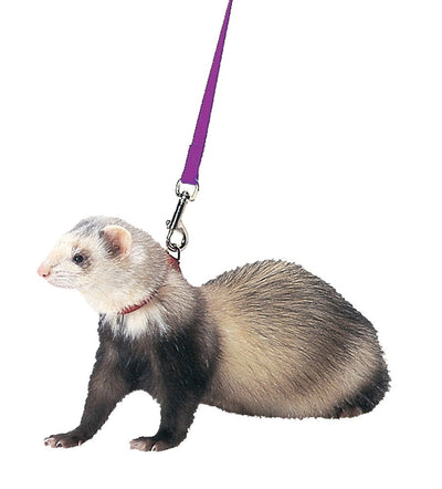 Marshall Pet Products Ferret Harness and Lead Set Purple 1ea