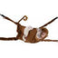 Marshall Pet Products Ferrets Hangin' Monkey Hammock Brown 1ea