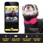 Marshall Pet Products Ferret Finder GPS Collar Pink 1ea
