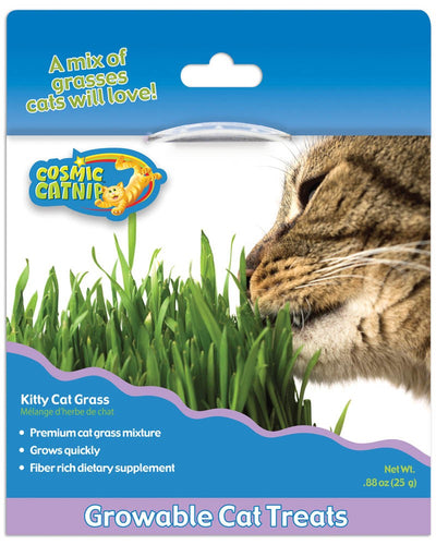 OurPets 100% Natural Kitty Cat Grass 1ea/0.88 oz