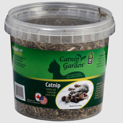 Multipet Catnip Garden North American Catnip Sealed Cup 2.5oz