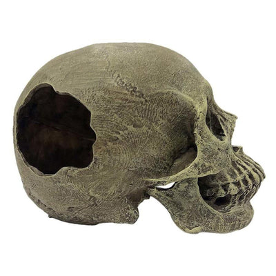 Komodo Half Human Skull Reptile Hideout Gray 1ea/One Size