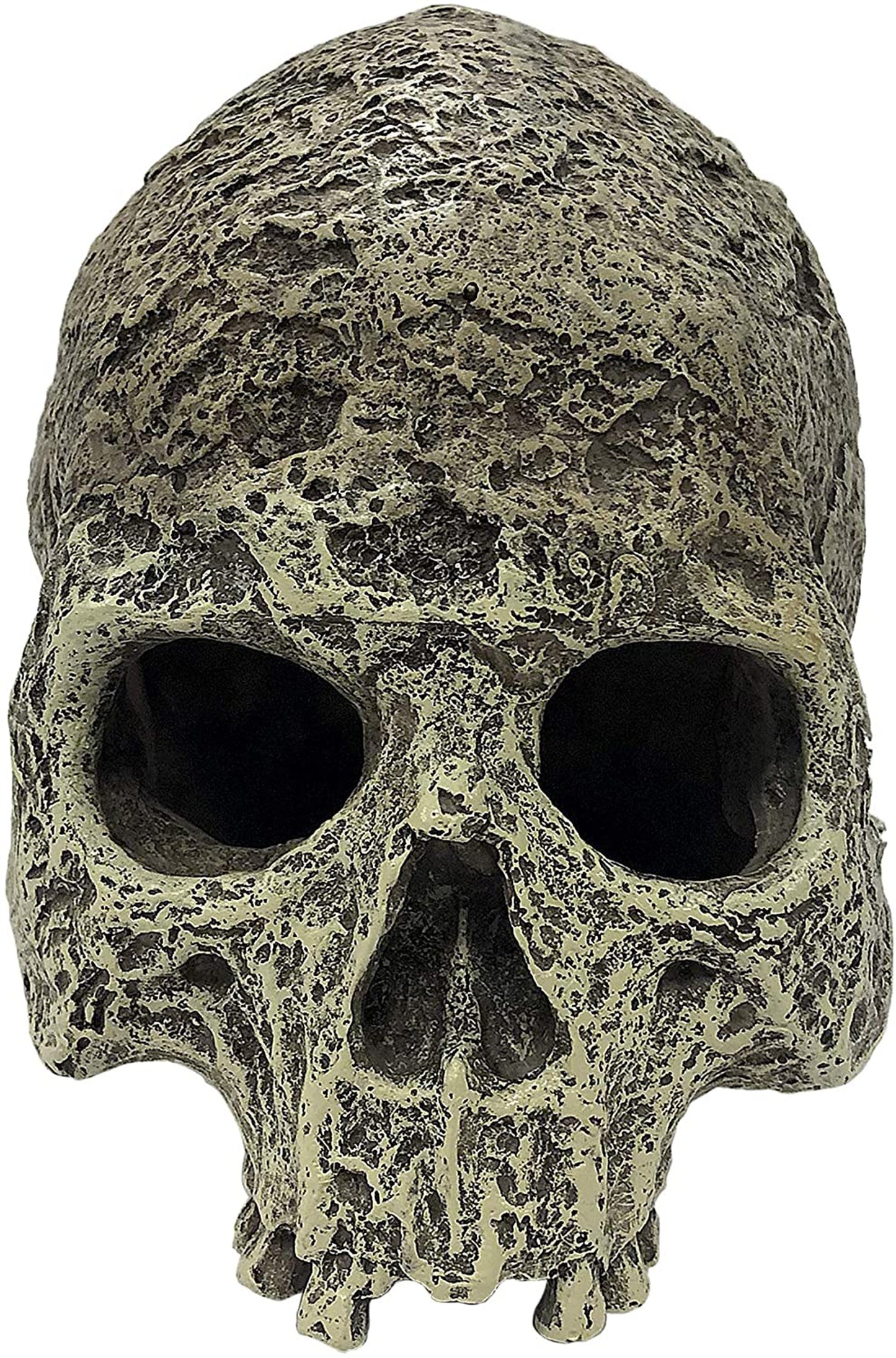 Komodo Textured Human Skull Reptile Hideout Gray 1ea/One Size