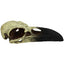 Komodo Raven Skull Hideout 1ea/MD, 6 in