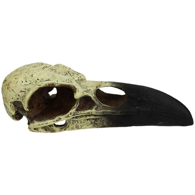 Komodo Raven Skull Hideout 1ea/LG, 18 in