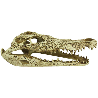 Komodo Alligator Skull Hideout 1ea/9 in