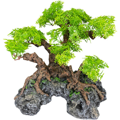 Komodo Bonsai Tree w/ Hide 1ea/18 in