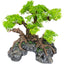 Komodo Bonsai Tree w/ Hide 1ea/18 in