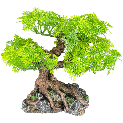 Komodo Bonsai Tree 1ea/17 in