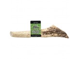 Redbarn Pet Products Natural Elk Antler Dog Treat Whole 1ea/XXL, 5.7 oz