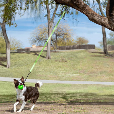 Jolly Pets Tree Tugger Bungee Green Large