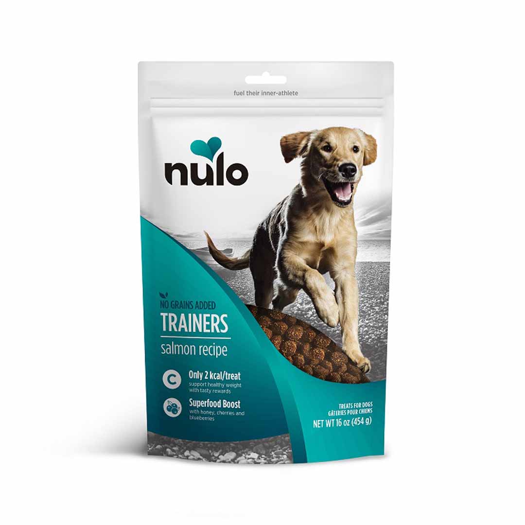 Nulo FreeStyle Trainers Grain-Free Dog Treats Salmon 1ea/16 oz