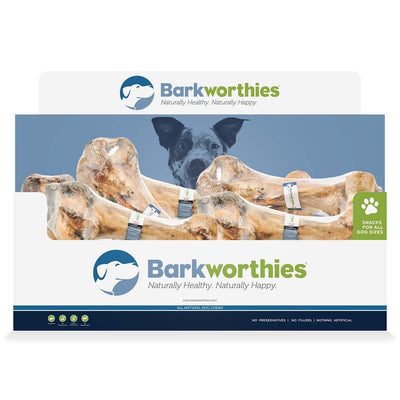 Barkworthies Femur Bone 1ea