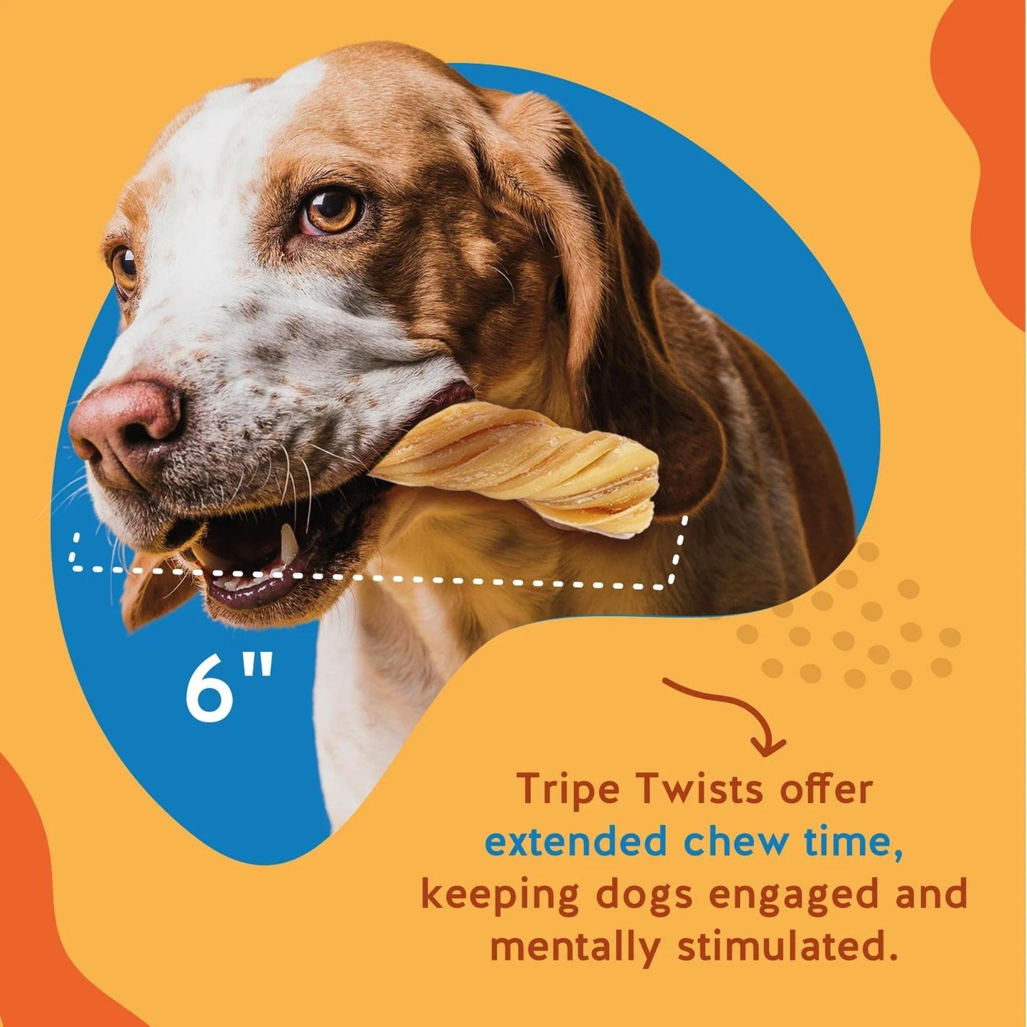 Jack & Pup Dog 6" Tripe Twist 50 Count Display Box