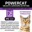 Square Pet VFS Powercat 4.4Lb  Turkey Chicken