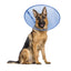 Calm Paws E-Collar Blue Large 9.5-15.5in.