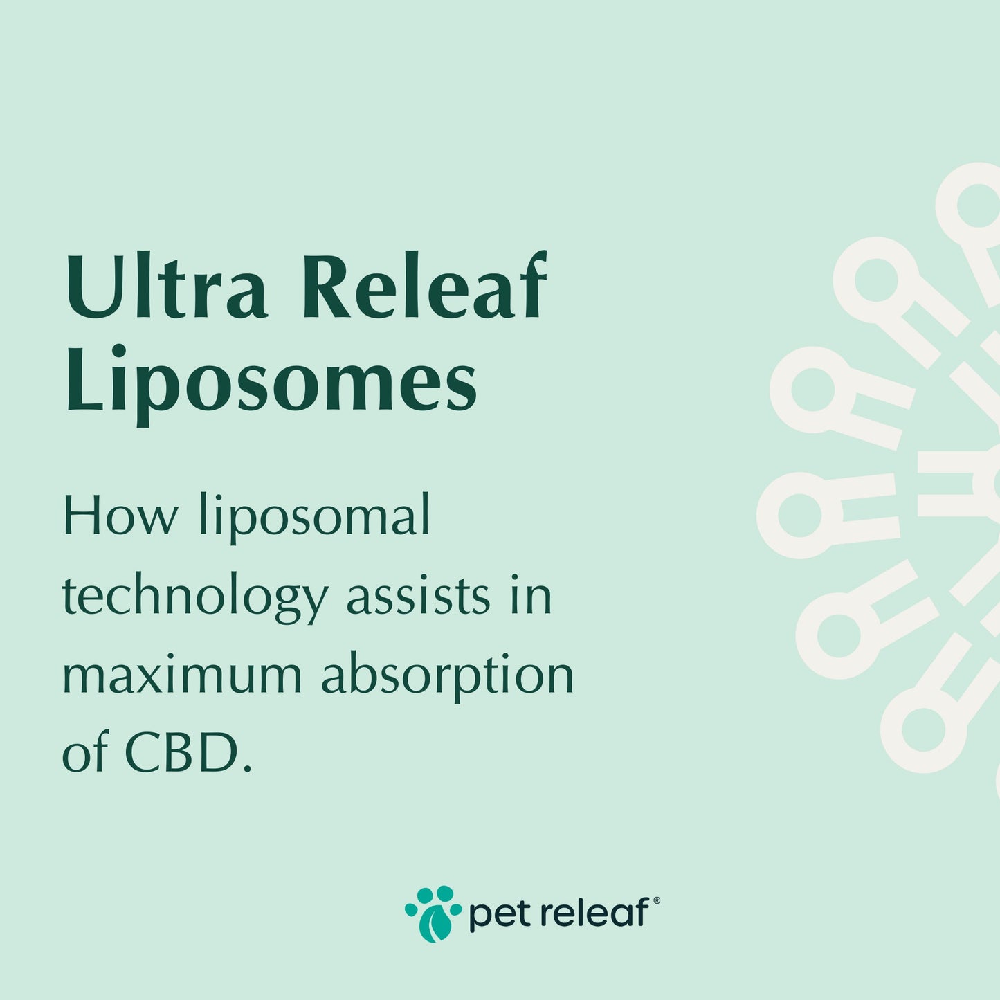 Pet Releaf Lipesome Ultra Releaf Hemp Oil Cbd 300Mg