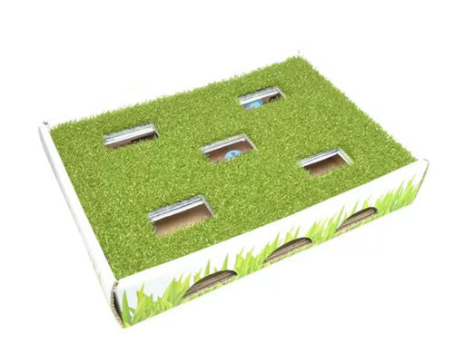 Petstages Grass Patch Hunting Box Cat Toy White, Green 1ea/One Size