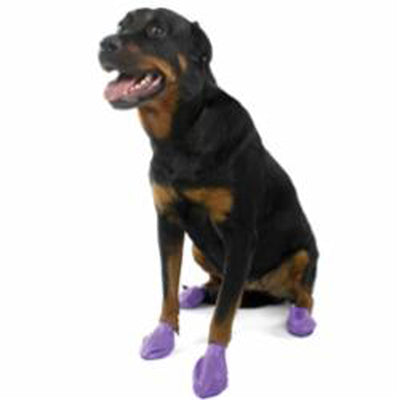 Pawz Dog Boots Large Purple